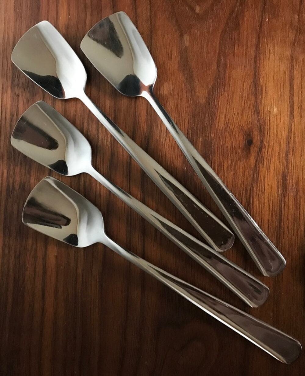 ENDURANCE set of 4 Stainless Steel Ice Cream Spades or Condiment/Sugar Spoons